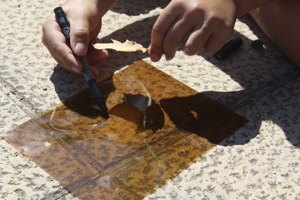 visites casal sínia 08 visites AE04 32