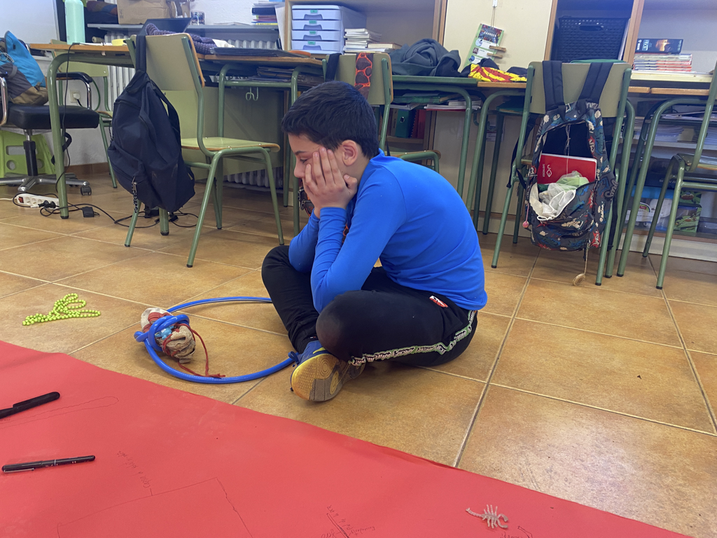 AE14 LesRoques br 15