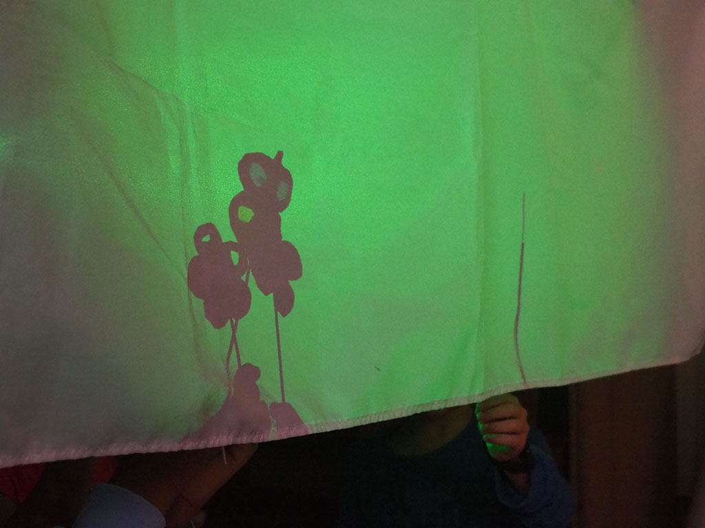 MaletaLlum SagratCor 25 01 br