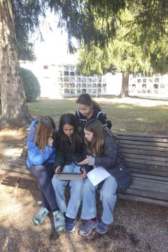 AE13 MestreAndreu5 BR 06