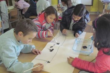 AE04 Escola Farigola 11
