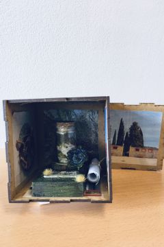 AE13 INSLaPlana2 BR 06