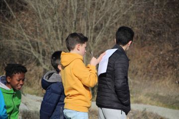 gleva