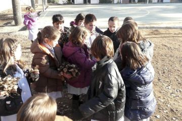 AE01 EscolaVedruna Tona 10