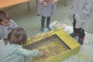 guillem infantil