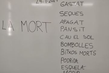 AE13 MestreAndreu1 BR 19