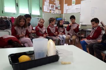 AE07 EscolaCarmeVedrunaManlleu 2n 21 br