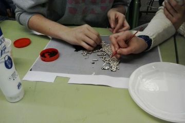AE04 Ins TARADELL 03