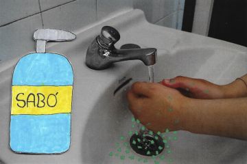 AE11 SagratCor br 18