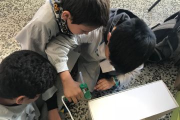 fedac primaria AE08 11