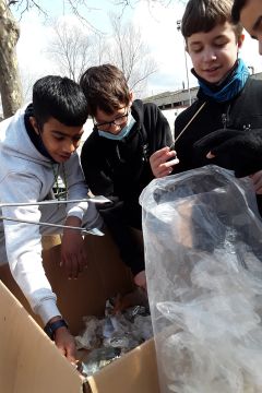 AE11 InsMartiPol br 07