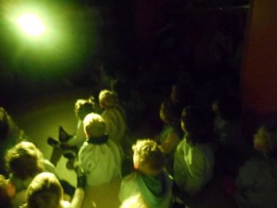 Projecte de la Llum