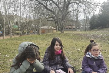 AE14 Bellpuig br 08