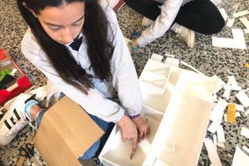 fedac primaria AE08 06