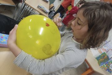 AE13 MestreAndreu2 BR 10