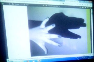 AE04 INSGurb 04 br