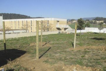 AE05 MiquelMartiPol llica 11br