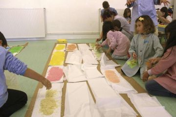 AE04 Escola Miquel Marti Pol Llica 08