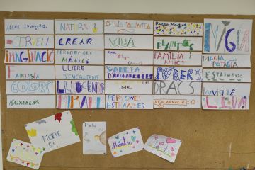 AE14 MestreAndreu primaria br 39