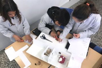 fedac primaria AE08 13