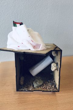 AE13 INSLaPlana2 BR 04