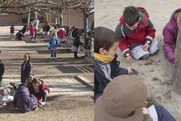 AE01 EscolaVedruna Tona 01