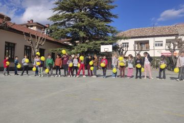 AE13 MestreAndreu2 BR 04