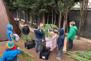 guillem infantil