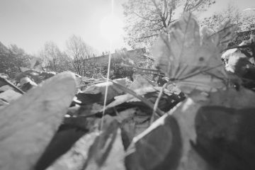AE13 FEDAC BR 07